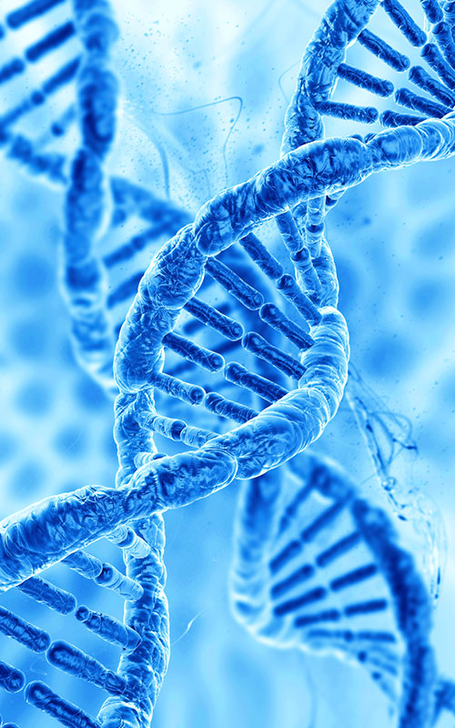 PDRN (পলিডিঅক্সিরাইবোনিউক্লিওটাইড)